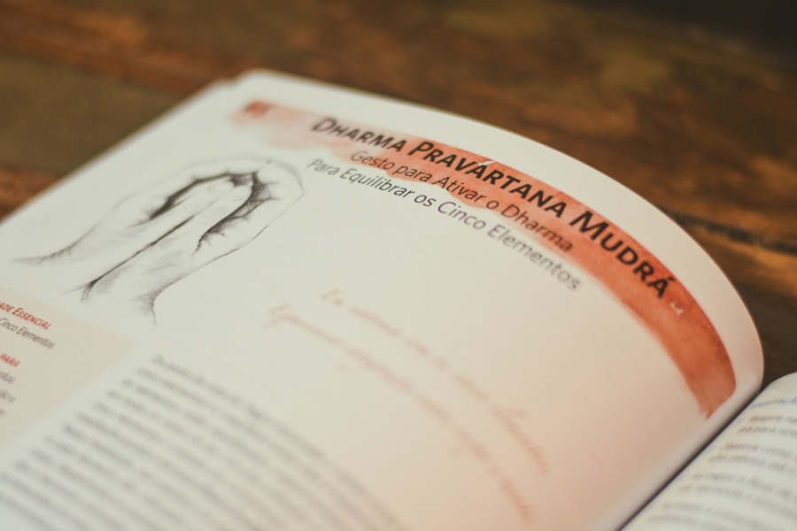 Livro de Mudrás para Cura e Transformação - Imagem 2