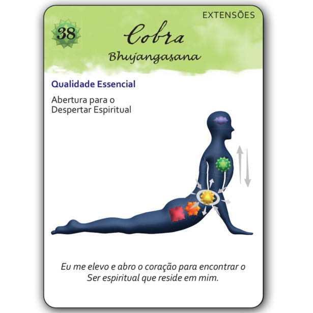 Baralho de Asanas - Imagem 12