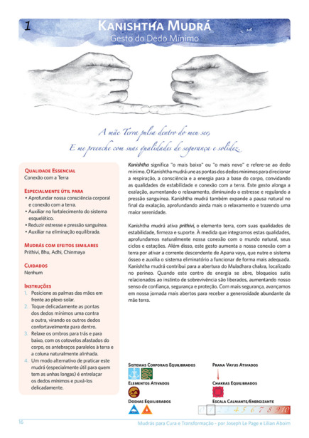 Livro de Mudrás para Cura e Transformação - Imagem 7